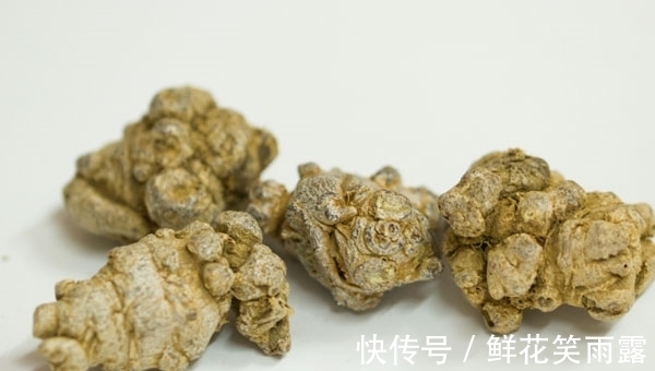 血管健康|三七粉可以天天吃吗?常吃三七帮助通血管,三类人不要服用