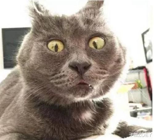 |搞笑那些年我们网购的沙雕物品，这些都有用吗