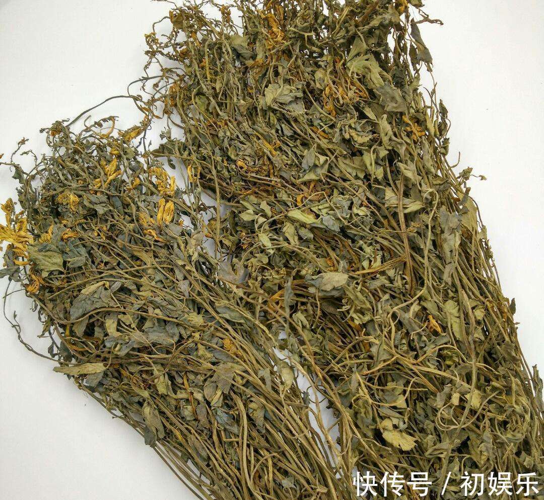 清热解毒|它长在石缝里,治“痔疮”有奇效,采一斤卖500!