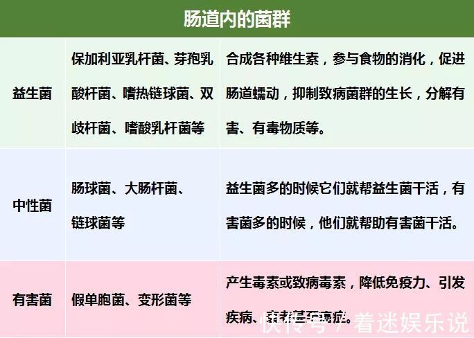 腹泻|肠道一生病，全身都遭殃？每天吃点它，清肠道，强体质，赶走节后肠胃不适
