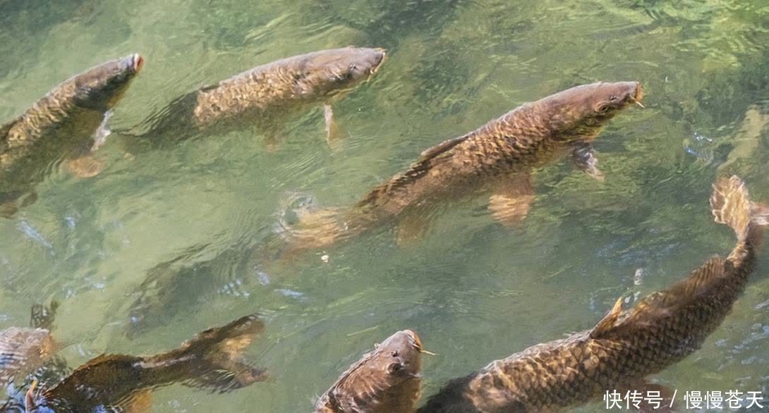 春天钓鱼,为啥新手扎堆的好天气都不上鱼?因为那天气不是好天气