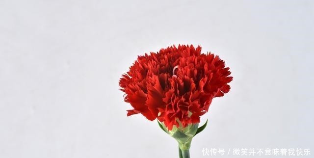 每天思考20句话,多读践行,早晚遇见最好的自己!