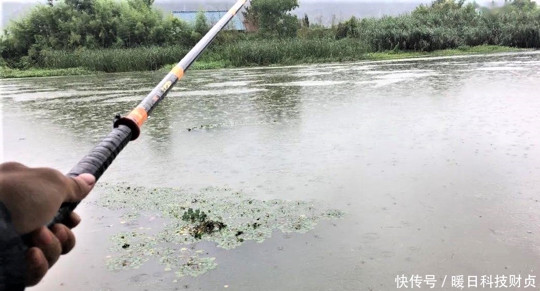 鱼类|夏天下暴雨，水变浑浊怎样钓鱼？注意几个方面细节，大鱼爆竿不停