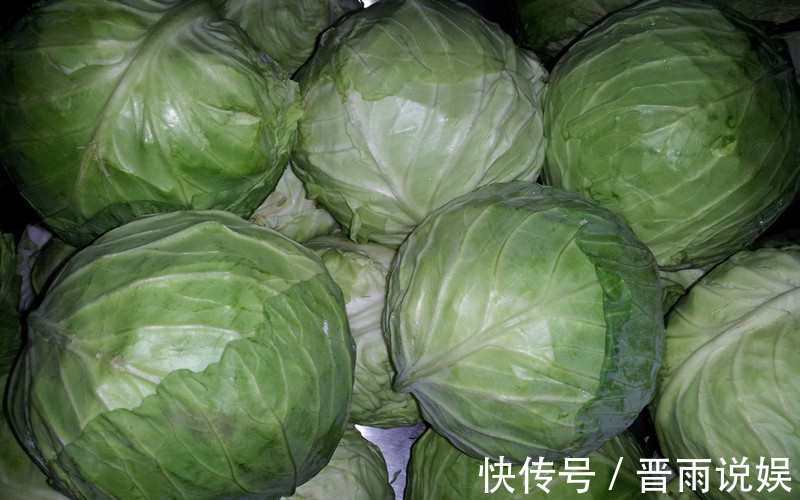 好吃|紫色包菜与绿色包菜,价钱相差甚远,究竟哪个更好吃