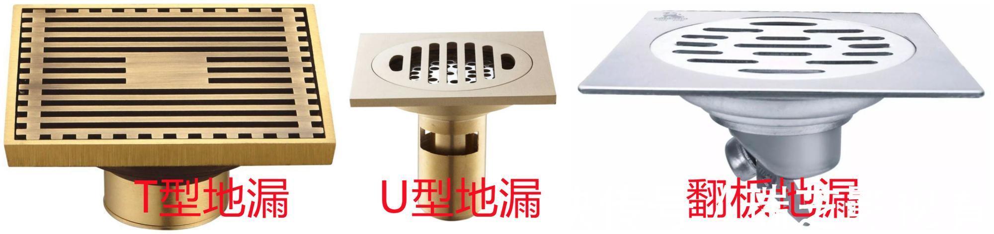 竖管|卫生间里的小飞虫是什么？只需三步，就能彻底杜绝