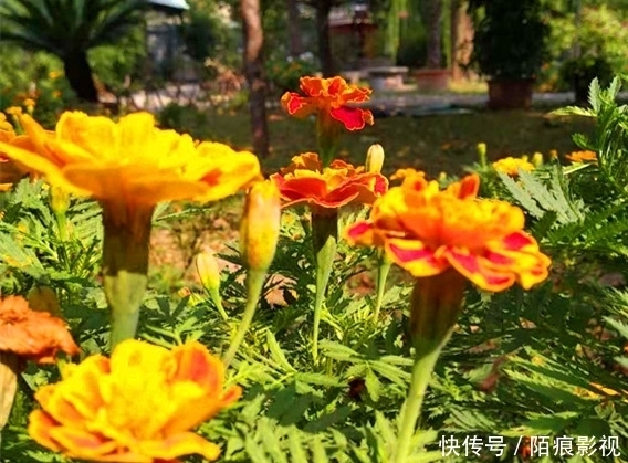 思维|与女儿对话:关于X思维