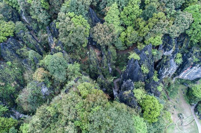 桃花|福建十大经典旅游景点,你去过几个