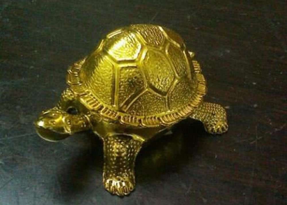 金龟婿|在历史上,为什么把女婿叫做“金龟婿”呢?你知道原因吗?