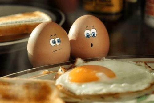 减肥|山东25岁女生为了减肥,每天只吃鸡蛋,七天后她的身体如何了?