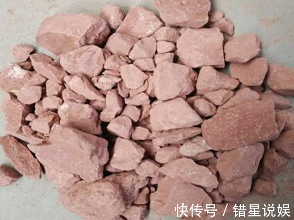 李时珍眼里的“长寿之物”,养心血,滋五脏,明目益精,轻身延年