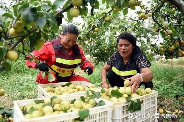 郯城|请解解渴！郯城果农八亩地“爱心水果”赠送防疫一线人员