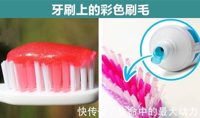 常见的9个物品背后，隐藏着许多人并不知晓的有趣用途