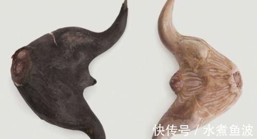 强健|想身体健康，多吃几种食物，健脾养胃，强健体魄，肌肤更好