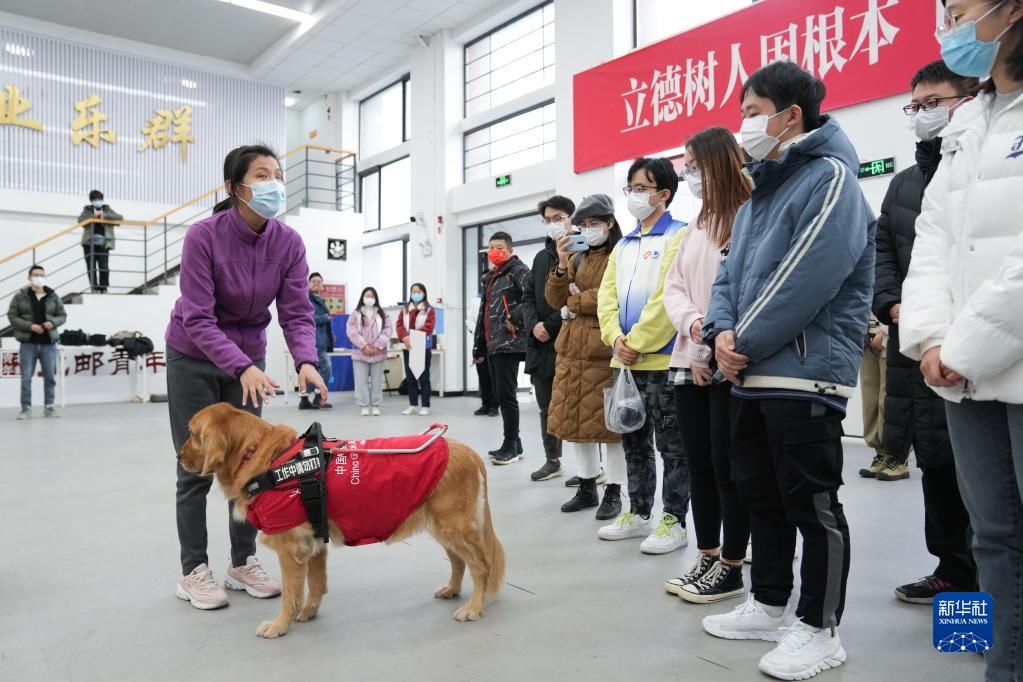 北京奥林匹克公园公共区志愿者场馆及岗位培训启动|走近冬奥| 北京邮电大学