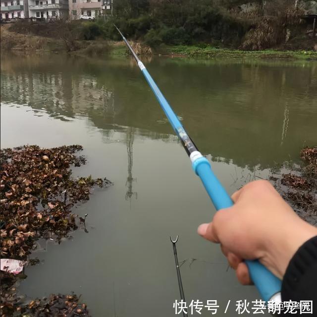 鱼口|轻口鱼难钓?按我的方法做一钓一个准,再小的口也能逮住
