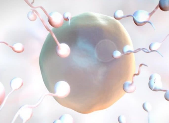 信号|医生：这5大信号，意味着卵子顺利着床了，别因粗心害了宝宝！