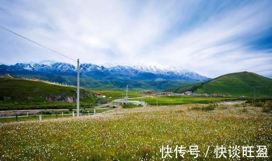 青杨林|如果有一天我选择去流浪，那这个地方肯定就是稻城