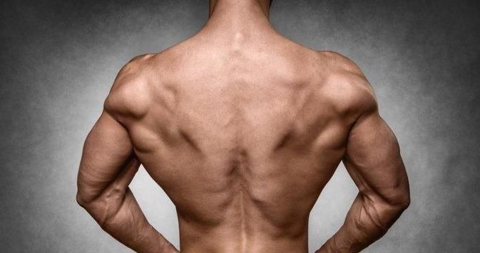 背阔肌|训练背阔肌最好的7个动作,做对了让你的训练效果大不同