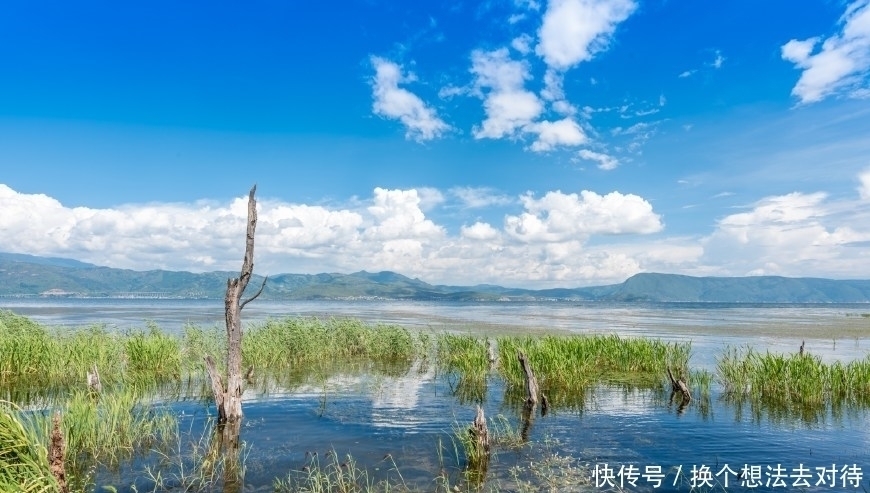 中年|洱海边最美的免费公园,非这座公园莫属