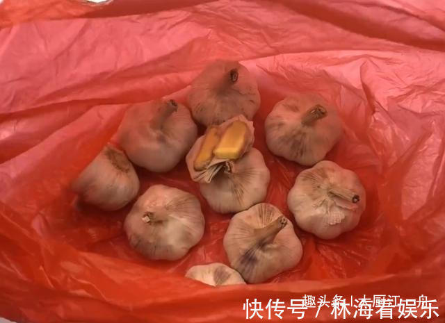 小苏打|原来保存大蒜这么简单，教你5招保存方法，大蒜放一年不发芽
