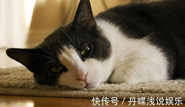 小美好|减肥其实并不难，记住早上3个坚持，晚上4个注意，你也能瘦下来