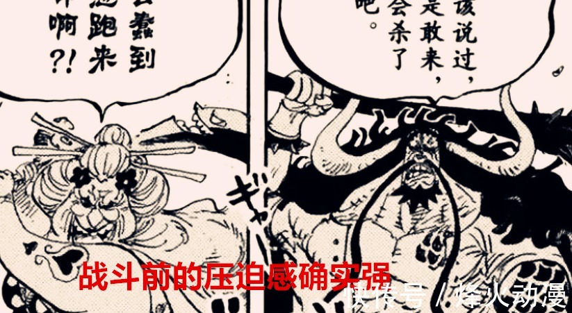 路飞|看完海贼王1040话后,众人的感受是:凯多不和大妈联手怎么能赢呢