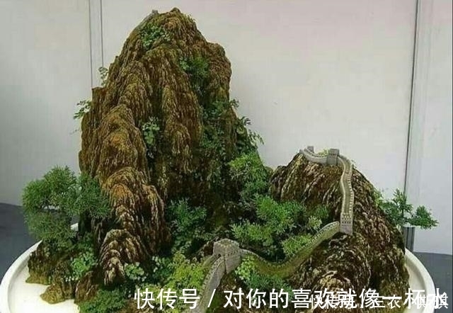 盆景|怎样才能修饰出更显自然的山水盆景