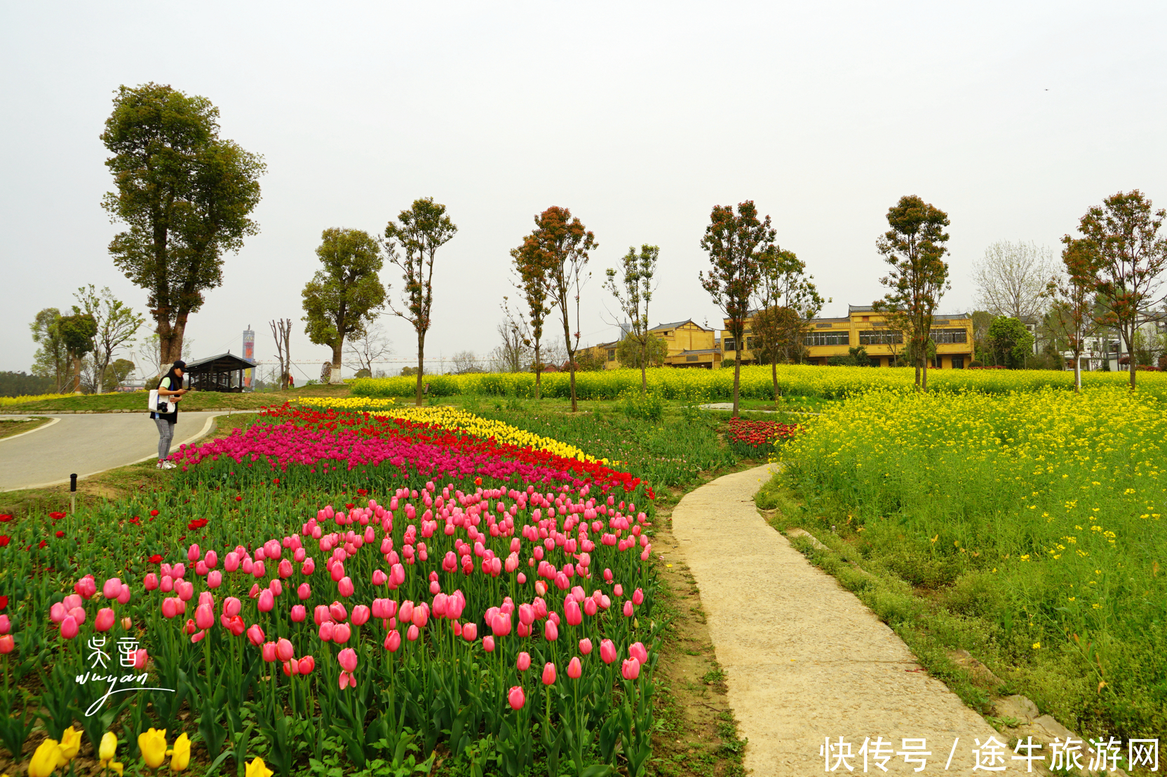 武汉这个地方和花城一样，365天，天天有花赏