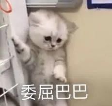10款热门清洁、补水面膜,看看哪个才是值得买小宝贝!