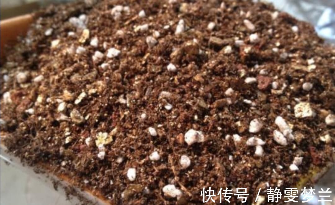 养分|旧花土不要扔,简单处理,掺上几种料,又成很好的“营养土”