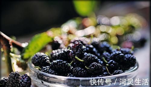 养胃|天然“养胃”的5种食物，胃不好的人多吃点，能消炎、保护胃黏膜