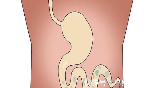 废弃物|公认的长寿特征，对照自查一下，若全占，寿命不会短