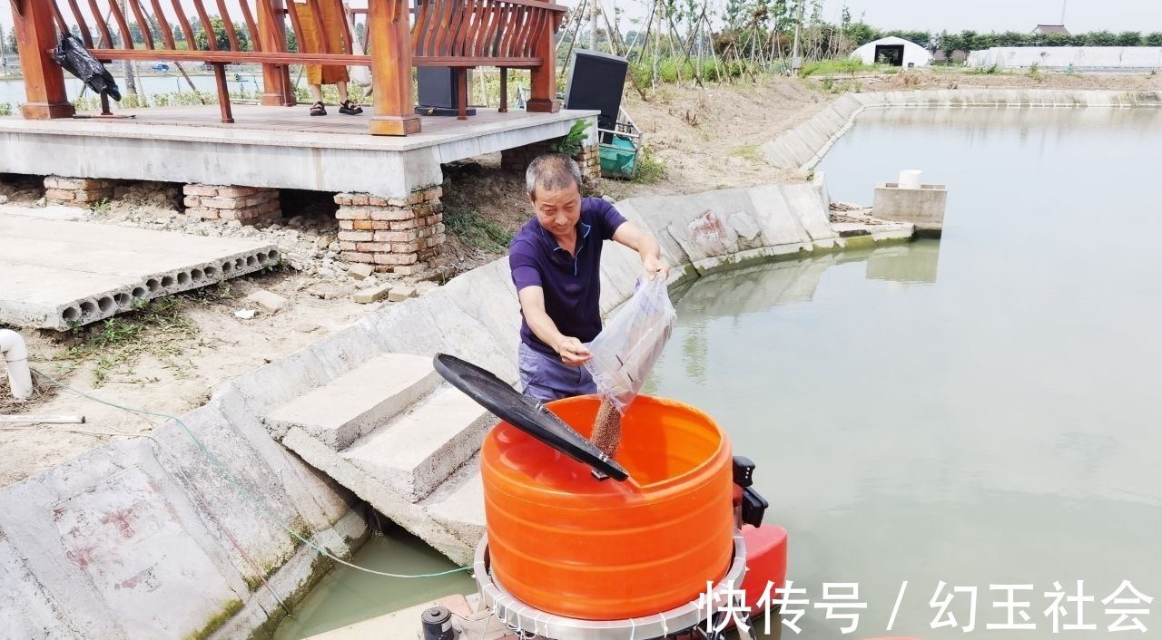 对虾|数字化为渔业装上“智慧芯片”智慧农业引领农业变革新方向