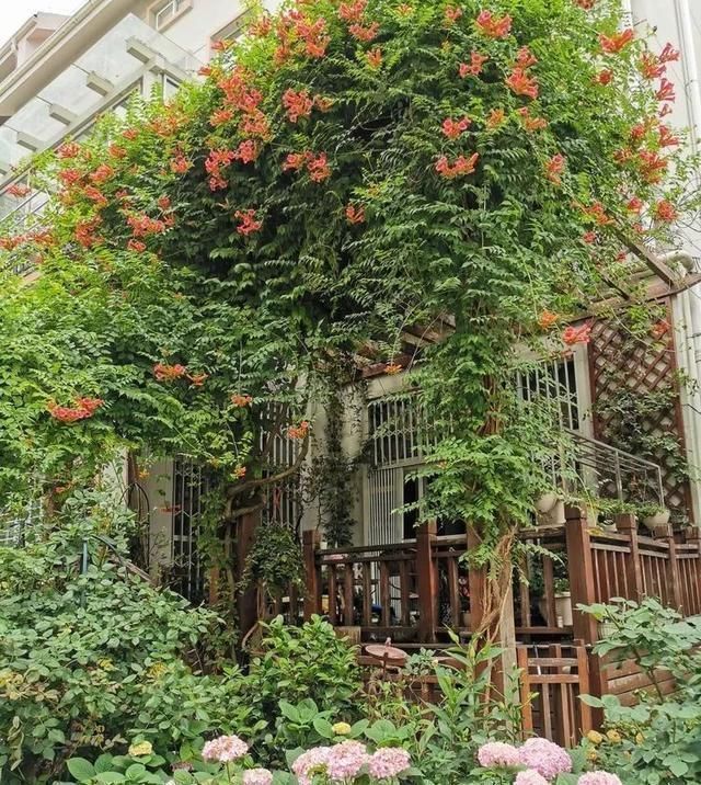 有了30平方的小院,能将日子过成了诗简单而精致,优雅而从容