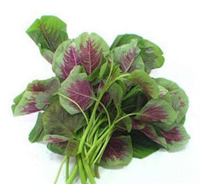 排毒养颜|女性到了中年常吃三种食物,补充营养,调理肠胃,消除身体疲劳