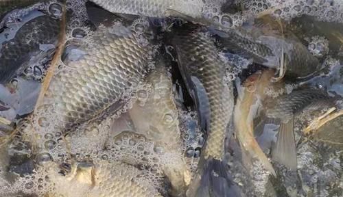 冬钓讲究人找鱼，选择这些位置做钓点，都是鱼儿扎堆的地方！