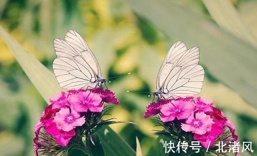 5天后，不请自来，旧爱贪恋，旧爱靠近，爱情美满