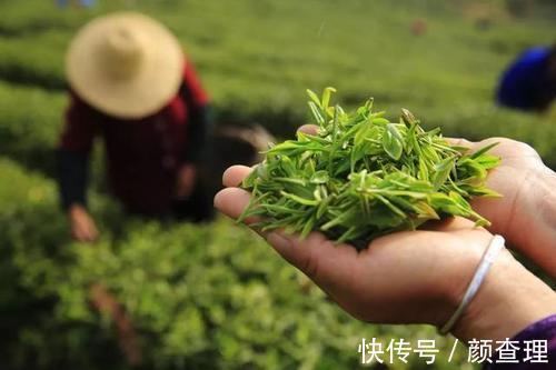 好听的茶名——庐山云雾