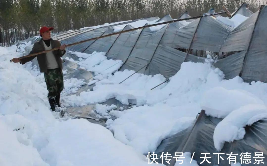 重阳雨|忌讳！“不怕重阳雨，最怕十三阴”，九月十三阴“怕”从何来？