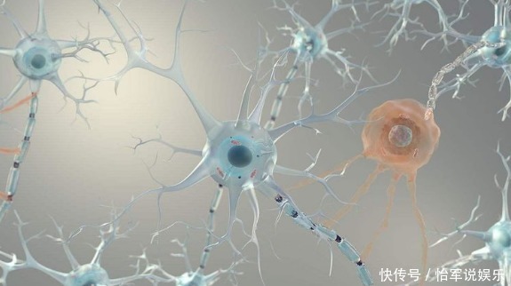 老年痴呆|老年痴呆测试:3道题测出你患痴呆的可能是多少?来试试