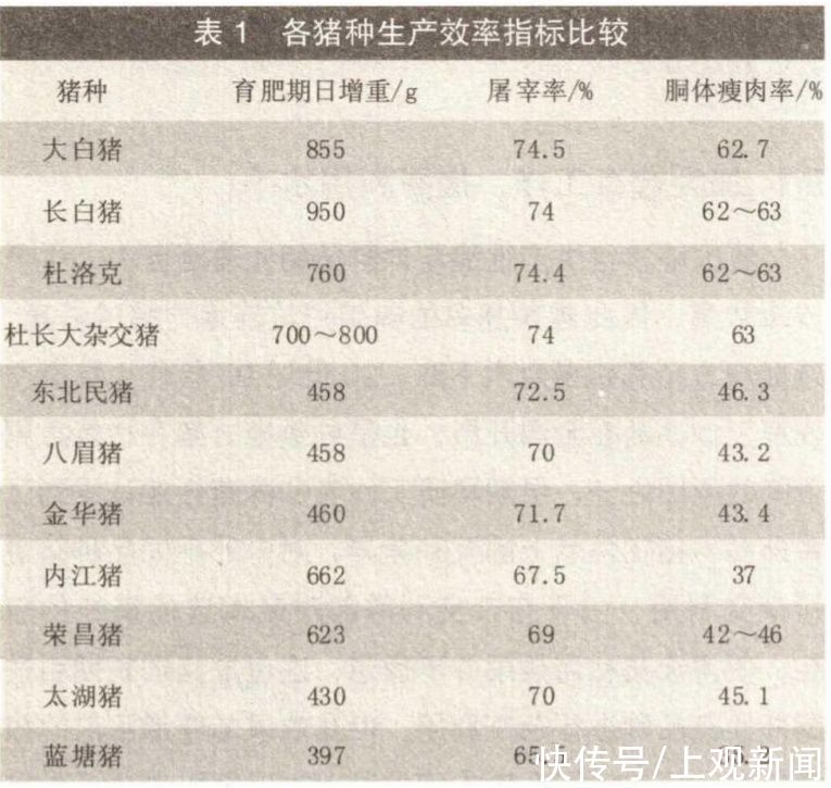  猪肉为什么没有小时候的香了？