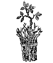 象主@《推背图》全文——金圣叹注解版(一)