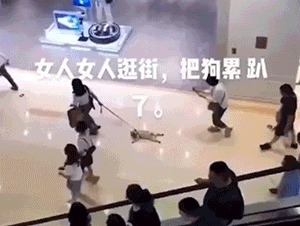 |搞笑GIF:妹子厉害了,果然是道高一尺魔高一丈啊
