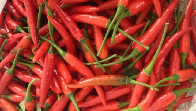 小米椒最好吃的5种做法,简单美味又馋人,看看你喜欢吃哪种