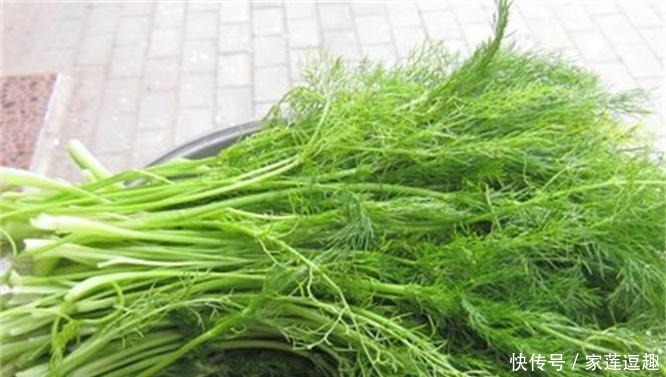 皱纹|对身体很好的4种食物,女性常吃,淡化皱纹,祛湿又祛脂