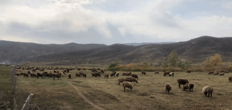 解决不了|没有什么是一顿火锅解决不了的