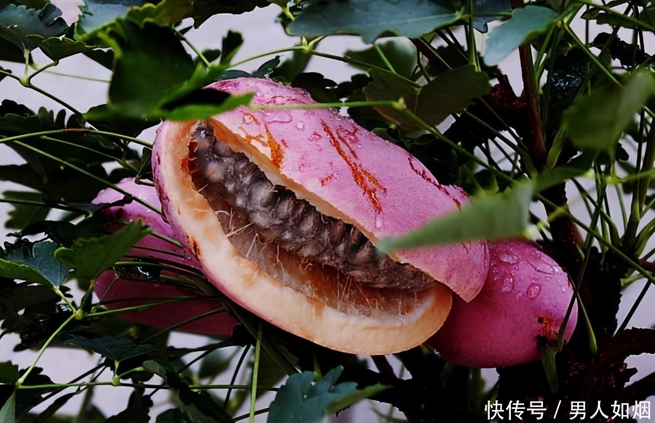 陳醫(yī)師|女性愛美要多吃3種食物,補充營養(yǎng)、美白護膚,好處多多