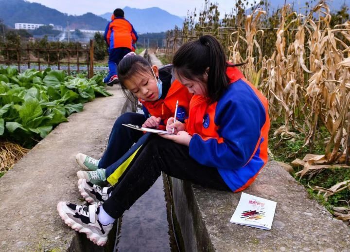 废弃工厂变身研学营地，淳安大墅喊你“自由野”