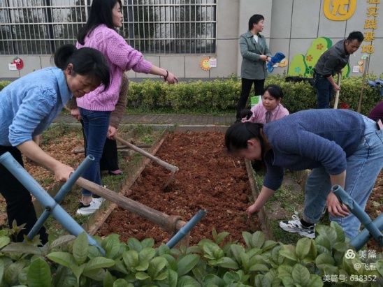 【动感中队】春风十里，不如春耕有你 记龙洲小学1908班班级菜园建设