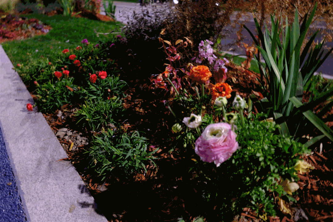中年|时空隧道、光与夜之街……这段静安区超美滨江大道亮灯啦
